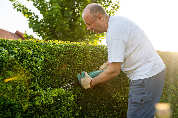 Seasonal Garden Maintenance