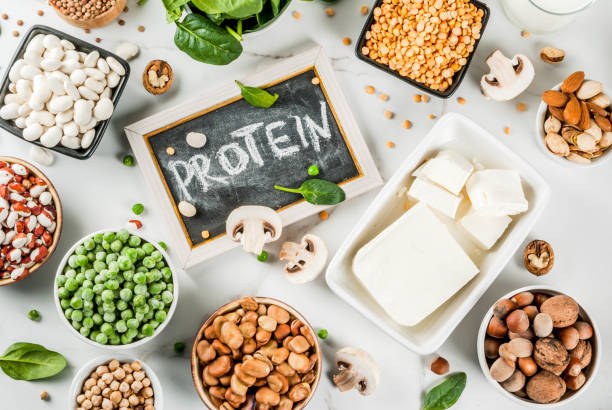 High-Protein and Functional Foods