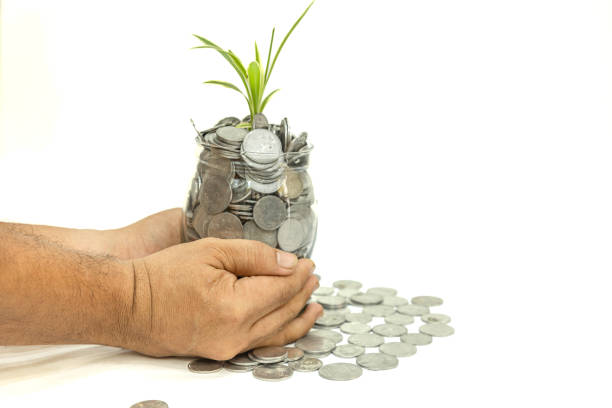Mutual Fund